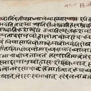 चरक संहिता के सूत्रस्थान की हस्तलिखित पोथी का एक पन्ना, देवनागरी लिपि में
