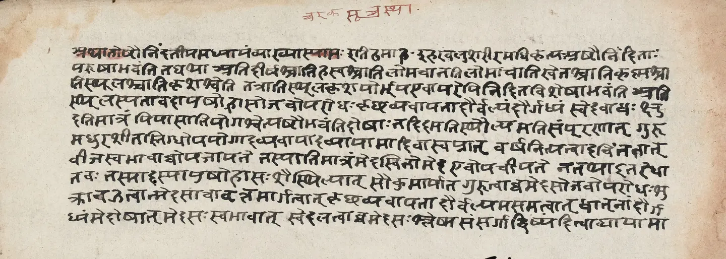 चरक संहिता के सूत्रस्थान की हस्तलिखित पोथी का एक पन्ना, देवनागरी लिपि में